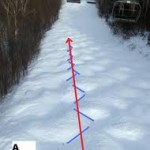 zipper-line-dr-barry-eppley-indianapolis