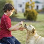 dogbites-in-children-dr-barry-eppley-indianapolis
