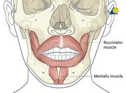 Blog ArchiveBotox Injections For Chin Muscle Disorders -