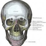 supraorbital-foramen-dr-barry-eppley-indianapolis1