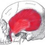 temporalis muscle reduction Archives