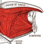 » Blog ArchiveCase Study: Sliding Genioplasty for Obstructive Sleep ...