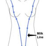 milk-lines