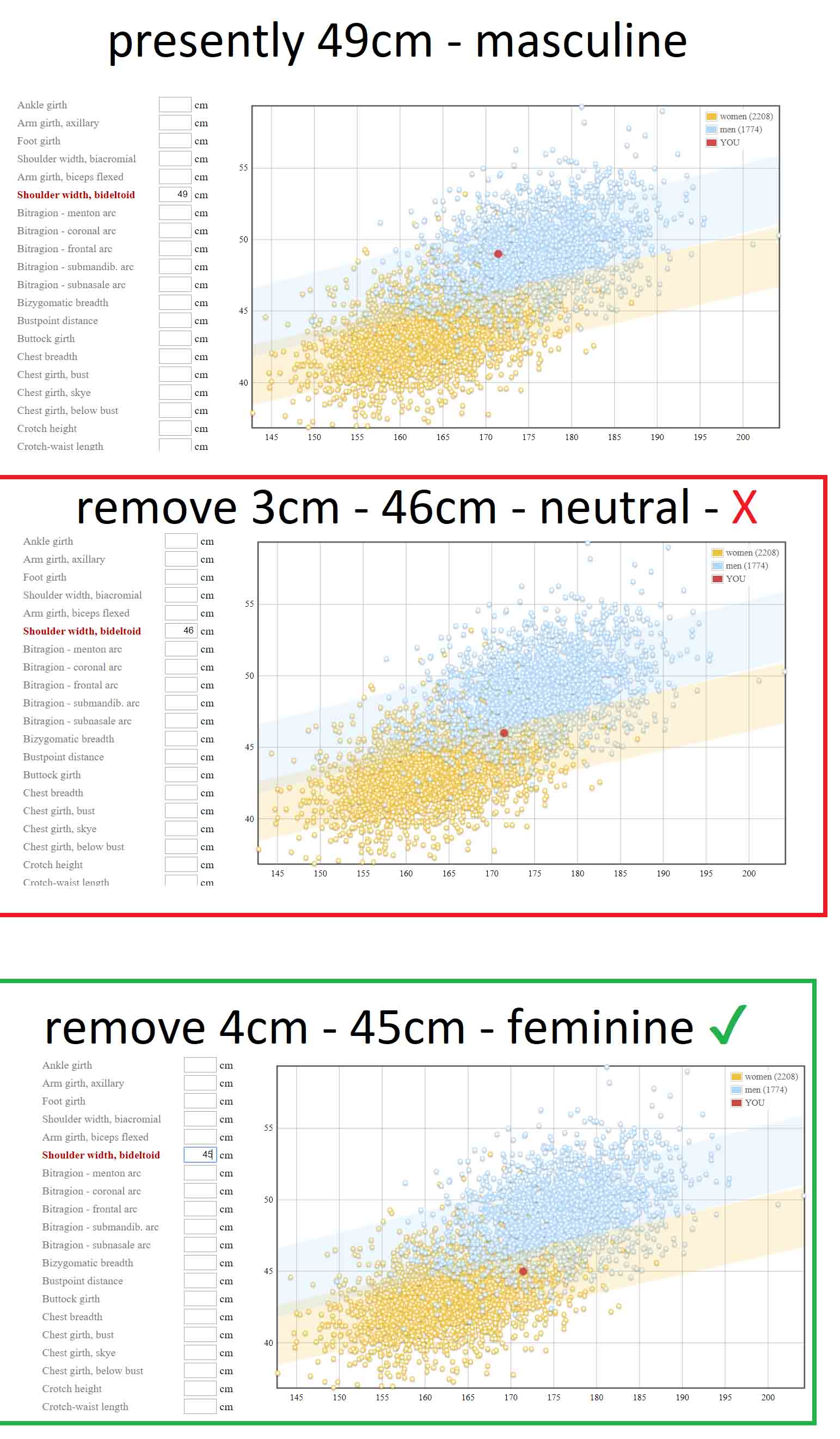 The Ultimate Guide To Average Female Shoulder Width - 5k9lxvj