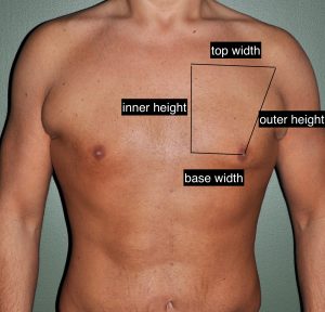 How to Get a Wider Chest (INNER to OUTER!) 