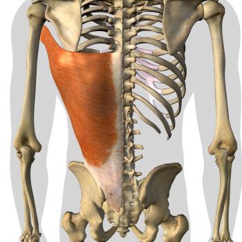 OR Snapshots - Wedge Latissimus Dorsi Musclle Resection in Rib Removal ...